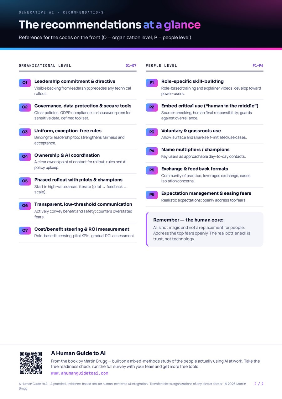 The Human Guide to AI — back page: the recommendations O1–O7 and P1–P6 at a glance